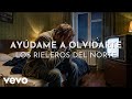 Los Rieleros Del Norte - Ayúdame A Olvidarte (Visualizer)