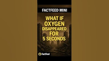 What If Oxygen Disappeared for 5 Seconds? | FactFeed Mini
