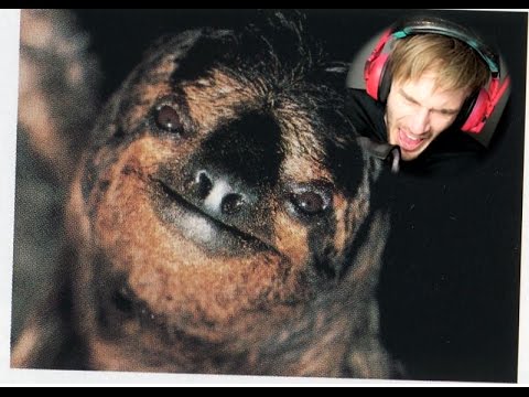 pewdiepie-scared-of-sloth!!