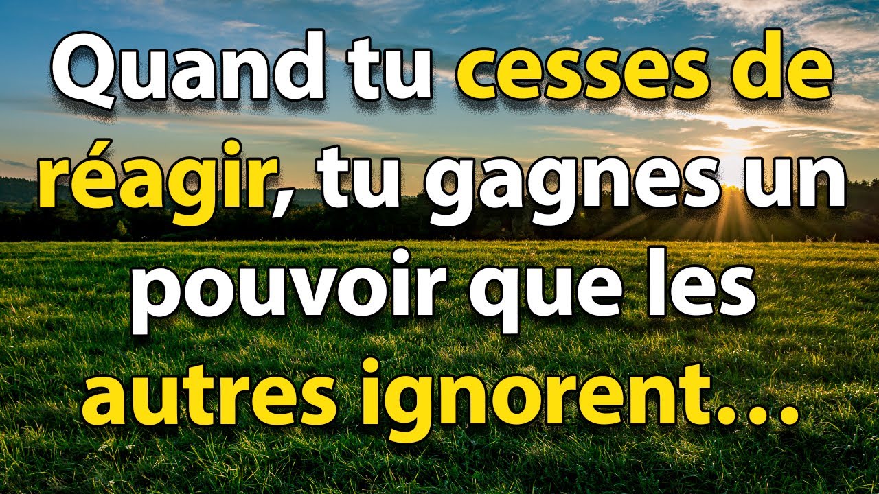 Apprends À NE PLUS RÉAGIR ET DEVIENS INTOUCHABLE : Le Chemin Bouddhiste vers la Paix Intérieure