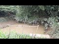 @MasWah87 #fishing live‼️