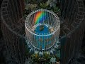 It Always Rainbows Inside This House 🌈 #FutureRooted #Hightech #Forest