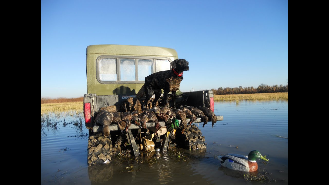 Public Places To Duck Hunt In Mississippi Public Places To Duck Hunt In Mississippi