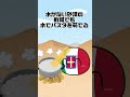 イタリア最弱戦記【ポーランドボール】#ポーランドボール #polandball