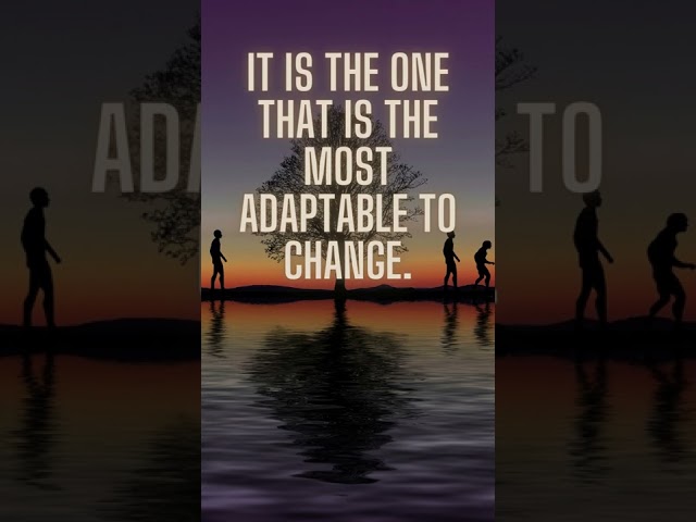 It is not the strongest of the species that survives, nor the most intelligent that survives. It is the one that is most adaptable to change.Dawin