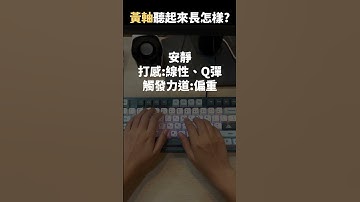 兩個安靜的軸，你喜歡哪一個 #shorts