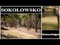 Cmentarz niemiecki z 1926 roku - Sokołowsko