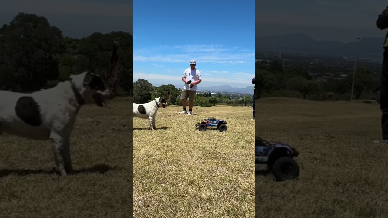 Wild | Where should I ride next? 🤯