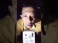 kucing gila