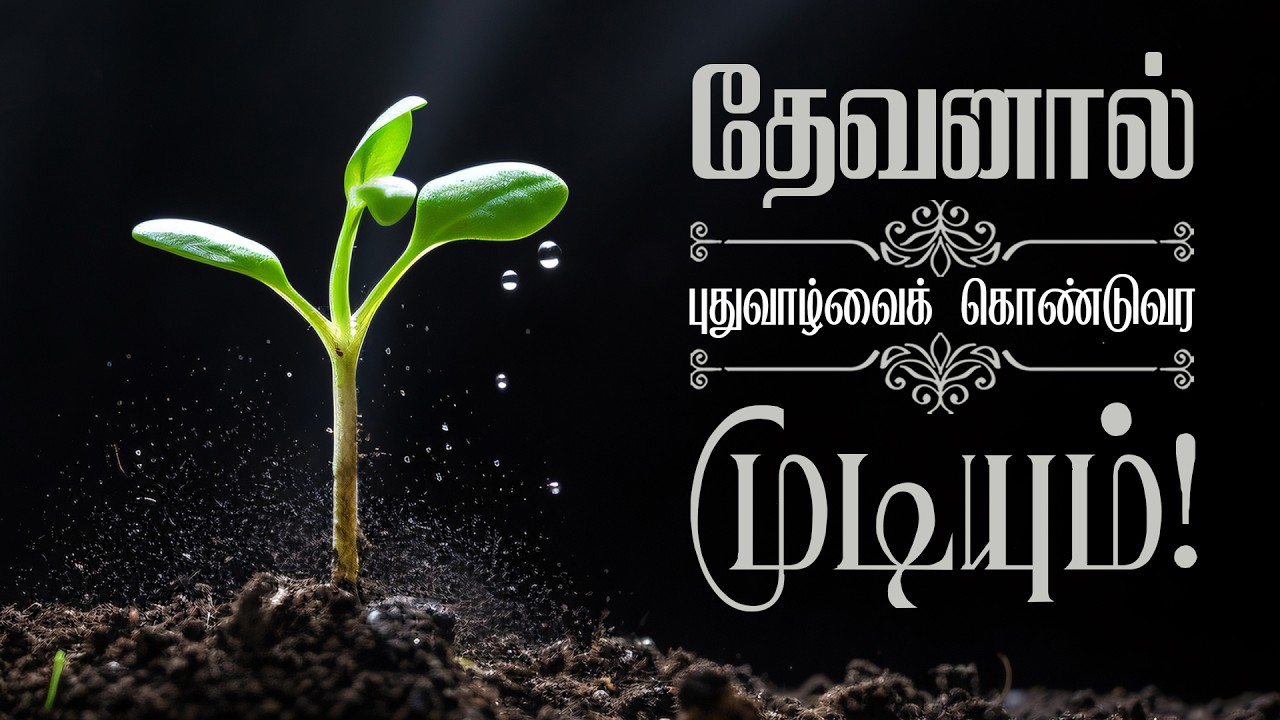 7 марта 2026 г. -ММ- Римлянам 11:15 -Римлянам 11:15