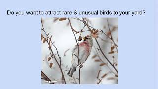 The Ecology of Residential Landscaping for Birders - Tony Croasdale (June 1, 2023)