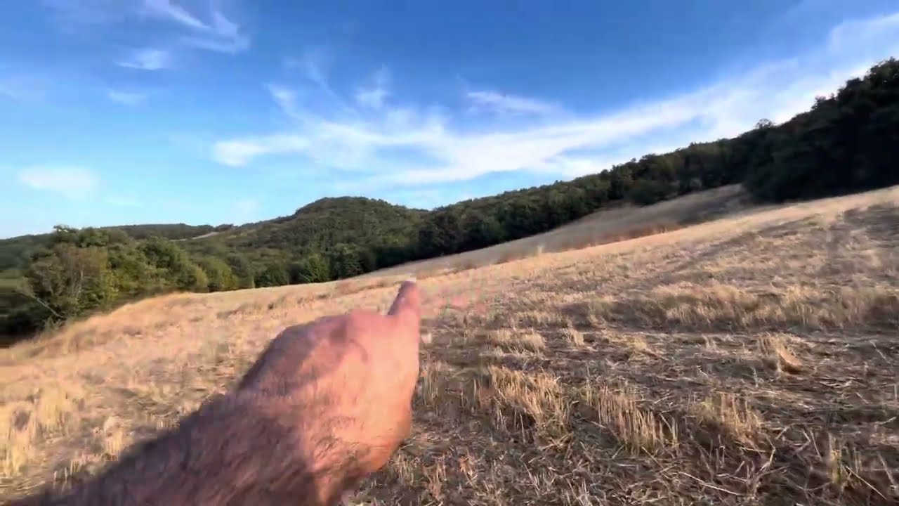 FİYAT DÜŞTÜ 17.5 DÖNÜM HERTÜRLÜ PROJELERE UYGUN FİYAT 2.550 bin