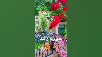ترجمه سوره رعد آیه 15