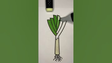 Coloring of a leek #satisfying #satisfyingvideo #asmr #coloring #satisfyingsounds #colors #color