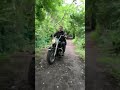 woohoo! #harleydavidson #harley #harleylife #shorts #shortsvideos