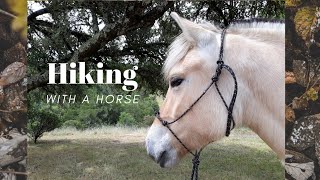 Hiking with a Fjord horse