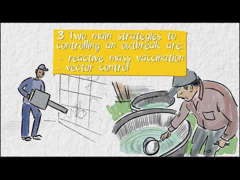 Four things you should know about Yellow Fever - Four things you should know about Yellow Fever
