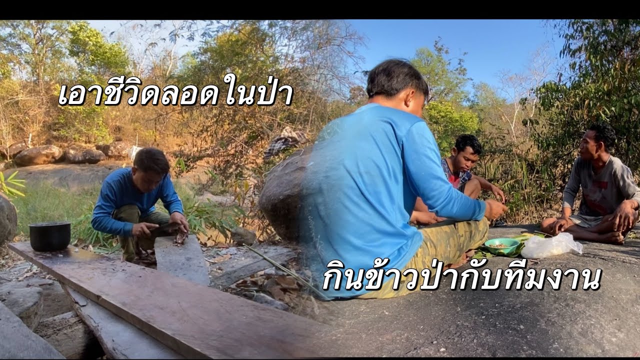 ล่าสัตว์นอนป่าเอาชีวิดรอดในป่าใหญ่กับทีมงาน-ນອນປ່າລ່າສັດເອົາຊີວິດລອດໃນຢູ່ປ່າກັບທີມງານ