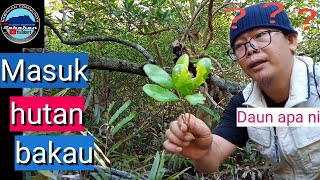 Masuk hutan bakau| North Borneo Archer|| #sabahanyoutuber