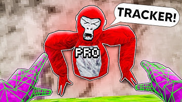 I Player Tracked A PRO..