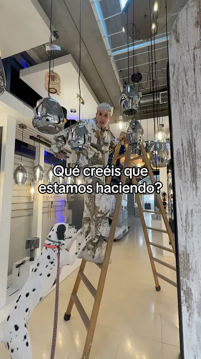Voy a seguir al que lo adivine❤️