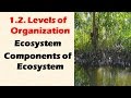 Ecosystem Dynamics: Interactions of Living and Non-Living Components
