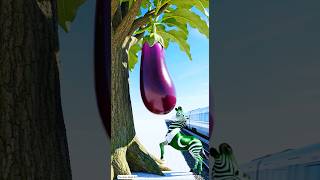 Indian Zebra Vs Foreign Zebra The Magical Plant Story