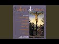 Ellens gesang iii ave maria  op 52 no 6 d 839 hymne an die jungfrau version for choir