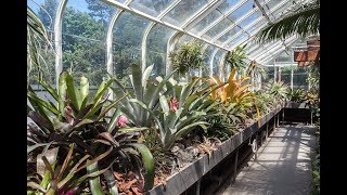 Bromeliad & Tillandsia Tips @TPIE—Part 2 — Plant One On Me — Ep 056