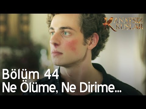 Kanatsız Kuşlar 44. Bölüm - Ne ölüme, ne dirime!