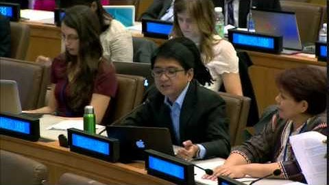Mr. Paul Quintos - IBON International Campaign - April UN Post-2015 negotiations