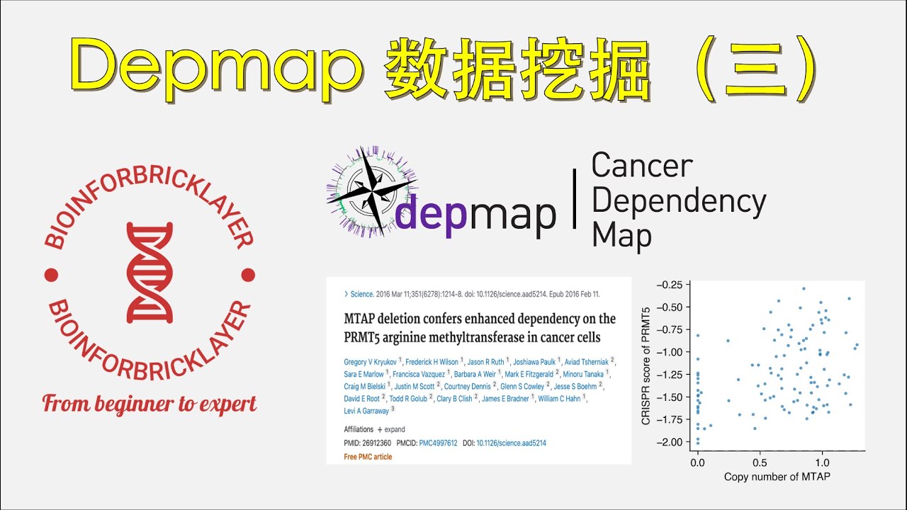 【生信进阶之路｜资源篇04】Depmap 数据库挖掘（三） - YouTube