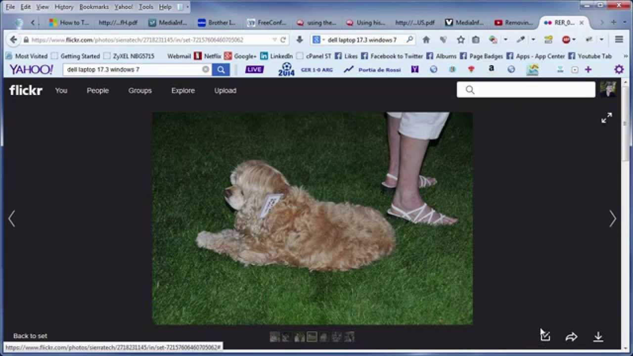 How to Download a Photograph (photo) using New Flickr Interface