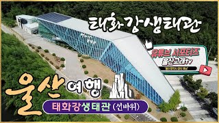 [울산] 태화강생태관 / 선바위 / 울주군 / Ulsan Korea