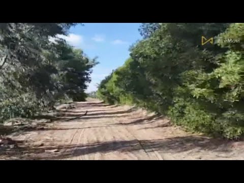 16 فدان بحاري جمصة الدقهلية