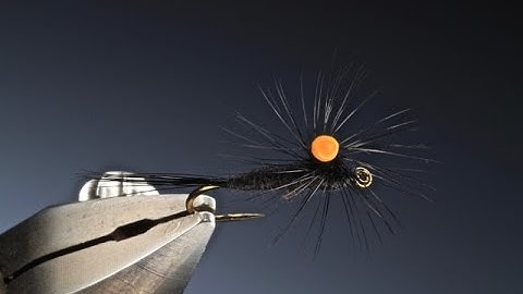 Tying a Poly weld para with Barry Ord Clarke