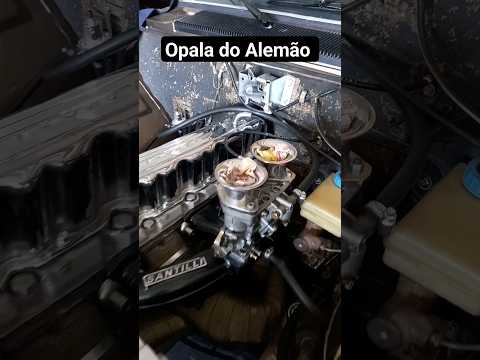 🚀 OPALA MARROM