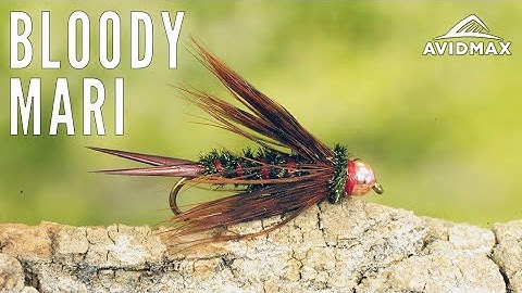 How to tie the Bloody Mari | AvidMax Fly Tying Tuesday Tutorials