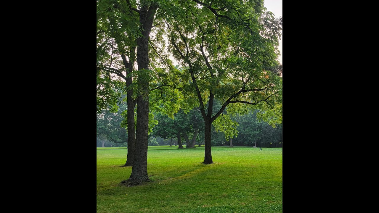 TALKING TO YOUR FUTURE SELF