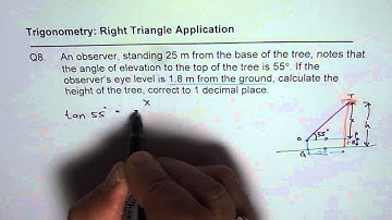 Q8 Height of the tree Application of Trigonometric Ratio