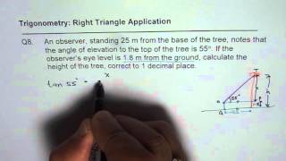Q8 Height of the tree Application of Trigonometric Ratio