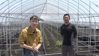 【旬の美味しさにこだわる旬すぐ（国産  100%）】栃木県大田原市佐藤潤一さんの雪解け水で育った濃厚な旨味と柔らかさが特徴のアスパラガス