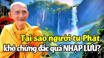 Tại sao người tu Phật khó chứng đắc quả Nhập lưu? Ht. Thích Giác Khang