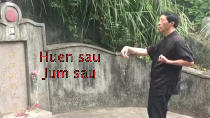 Samuel Kwok Siu Lim Tao in slow-motion