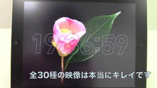 Bloomclock HD / iPadアプリ screenshot 4