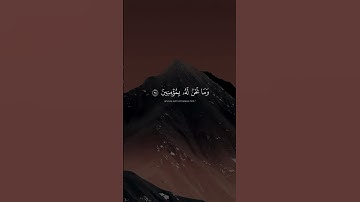ياسر الدوسري🍀||تلاوة تريح القلوب🤍