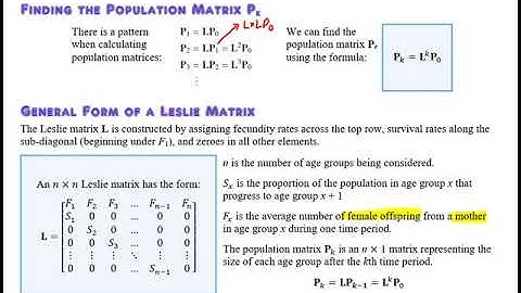 Leslie Matrices Part 2