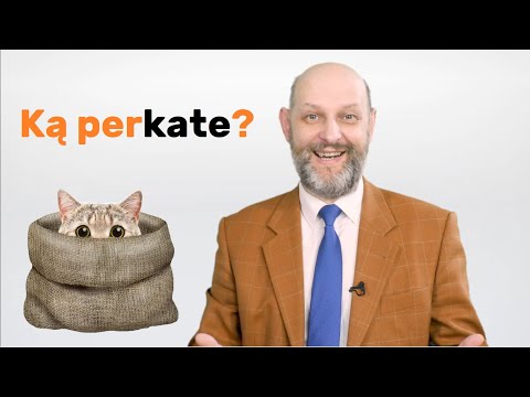 Video: Kaip Išsirinkti Ir Parodyti Animacinį  Vaiką