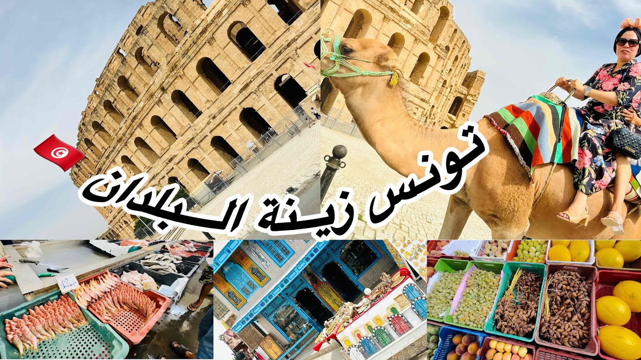 شاركت معاكم بقية العطلة في تونس🇹🇳 هزيتكم معايا لاماكن خيالية 🏝️🐬🫶 كل بلاصة تناسيك في اخرى 🐟 #vlog