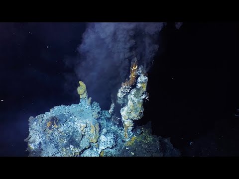 Video: Kā hidrotermālās ventilācijas atveres iegūst enerģiju?